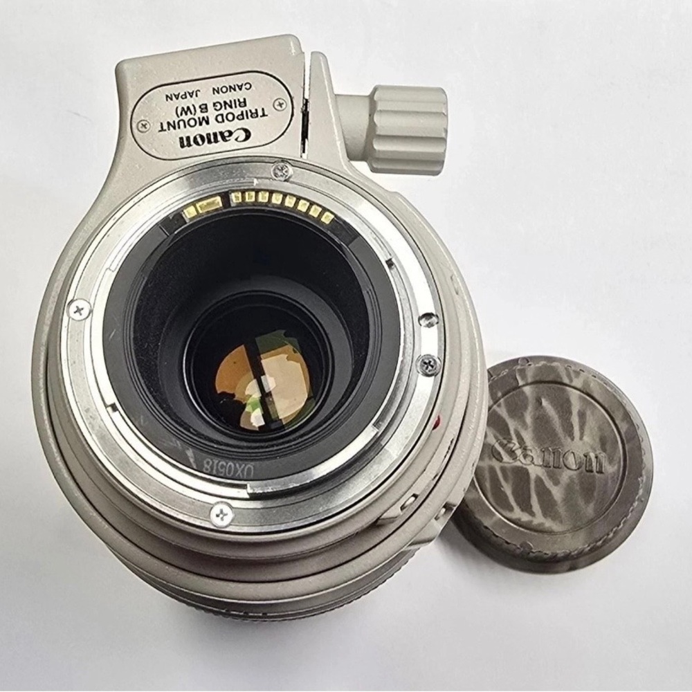 Canon EF 100-400mm f/4.5-5.6L IS I USM Lens with Case